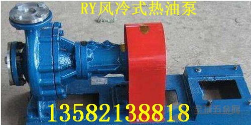 RY80 50 250风冷式导热油泵